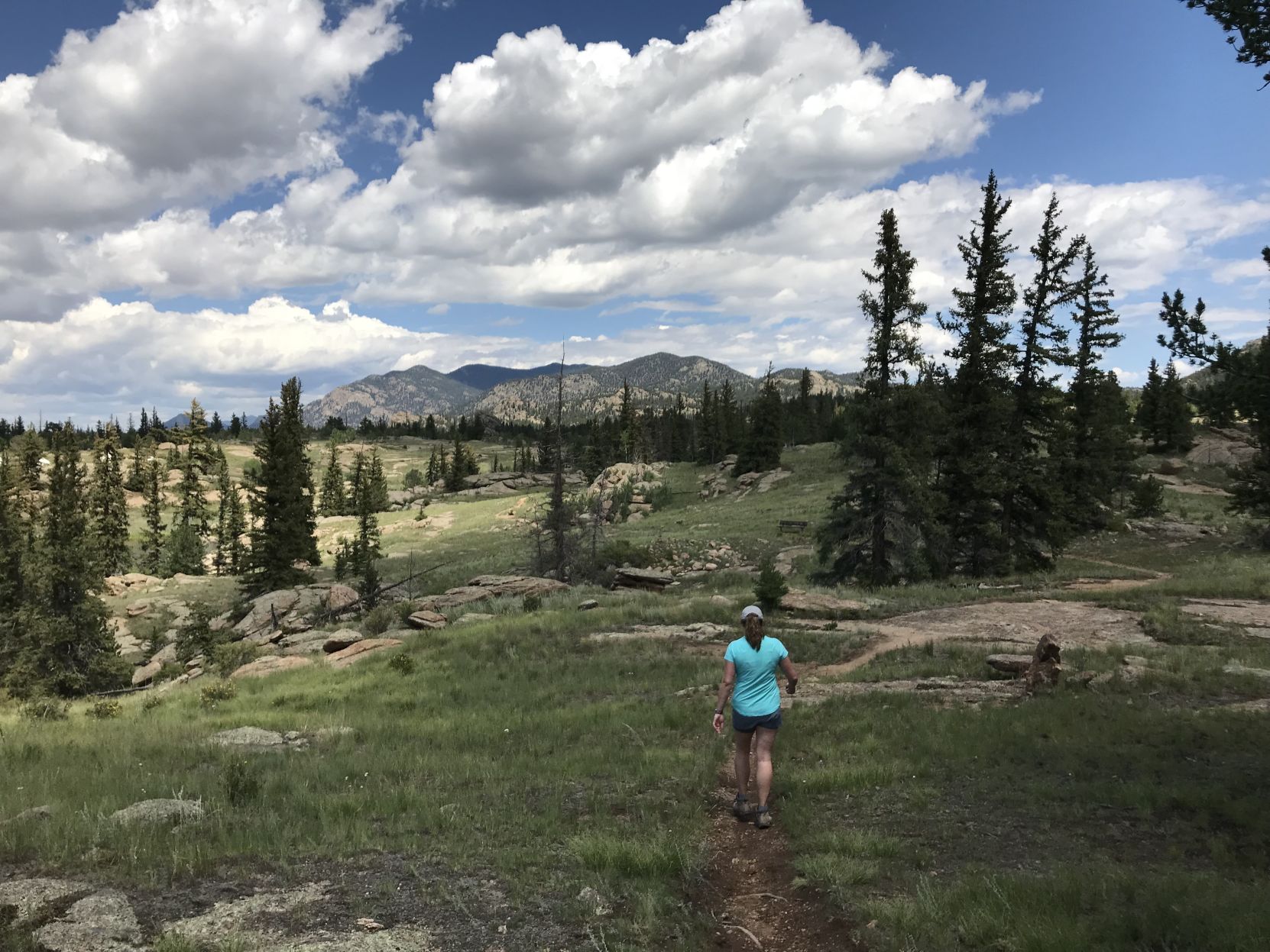 eleven mile 4.jpg